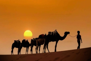 Atlas to Merzouga: 6-Day Desert & Toubkal Summit