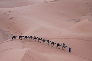 Atlas to Merzouga: 6-Day Desert & Toubkal Summit