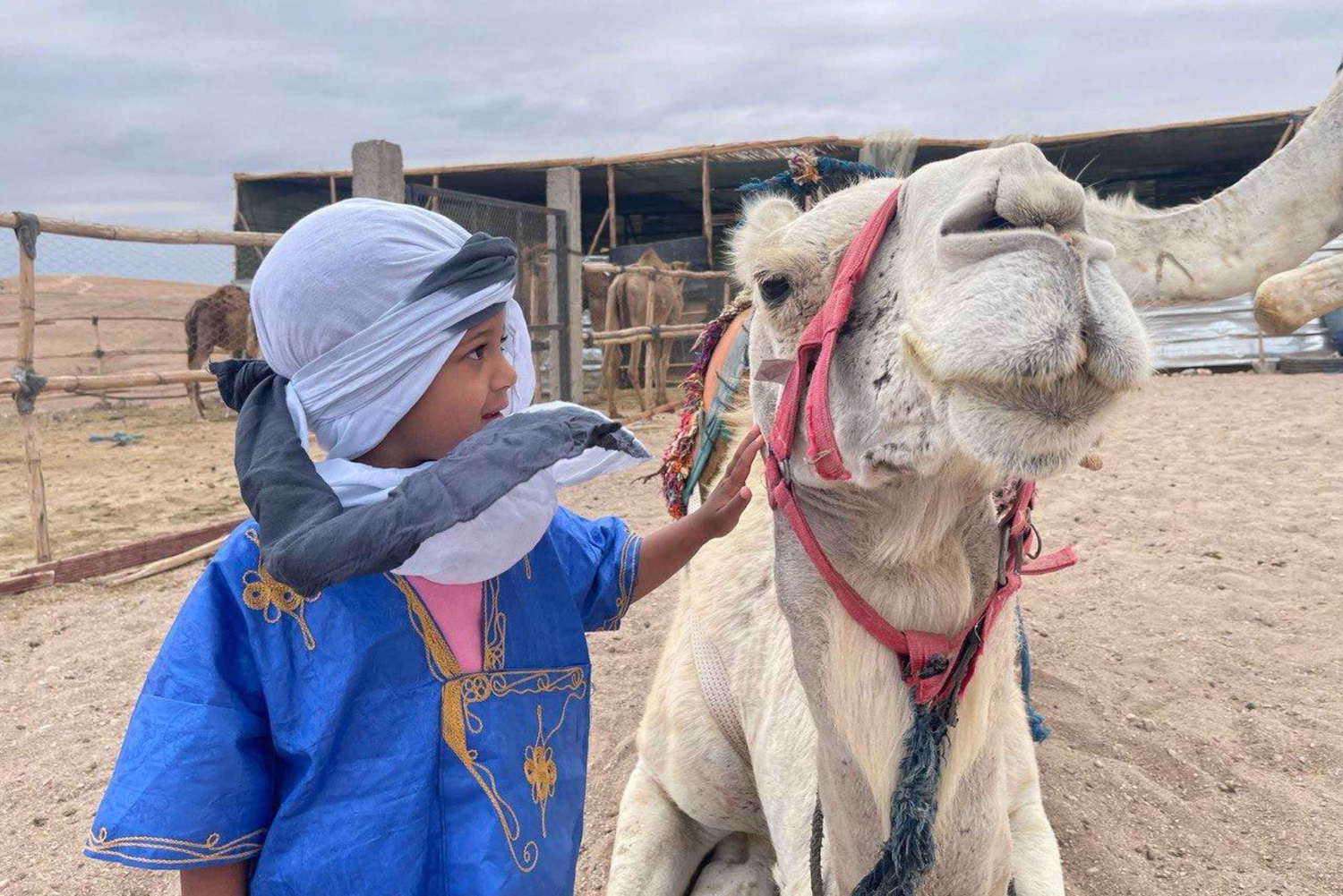 砂漠でラクダに乗る パルメライ・マラケシュ