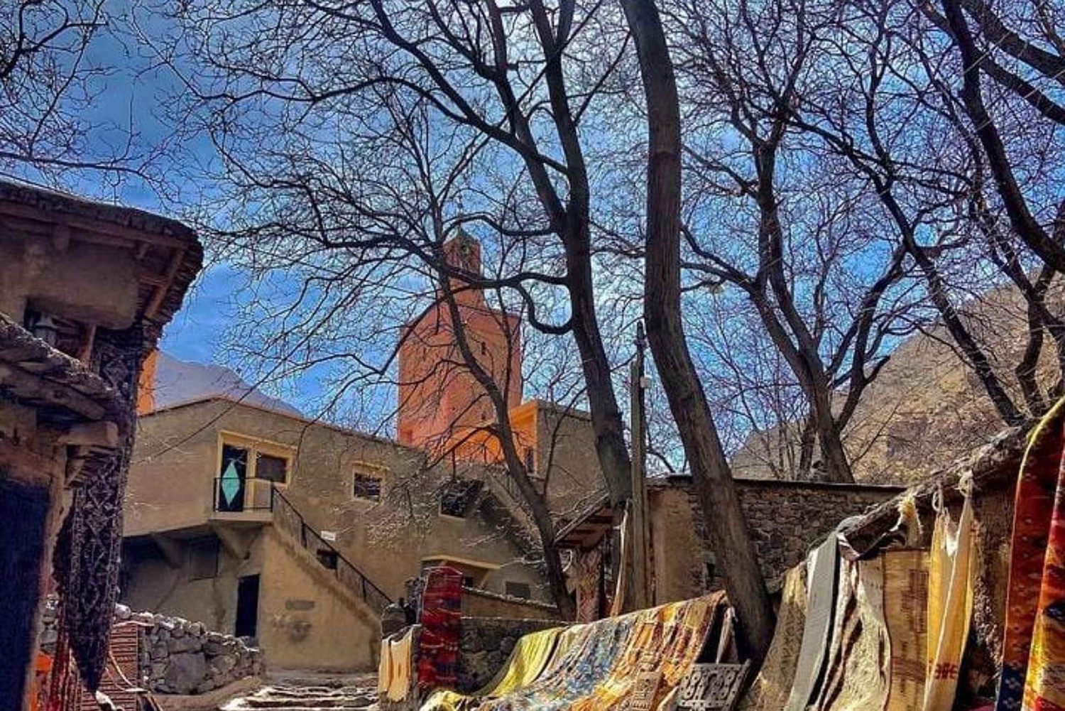 Päiväretki neljään laaksoon ja kameliratsastusretki vaelluksella