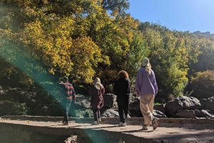 Dagtour en overnachting in de woestijn met dinershow en kamelenrit