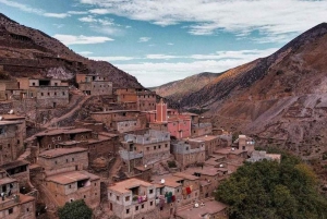 Dagtour en overnachting in de woestijn met dinershow en kamelenrit