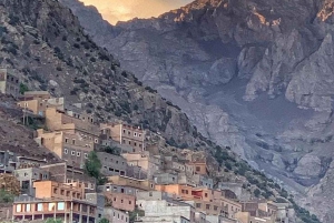 Dagtour en overnachting in de woestijn met dinershow en kamelenrit