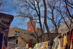 Dagtour en overnachting in de woestijn met dinershow en kamelenrit