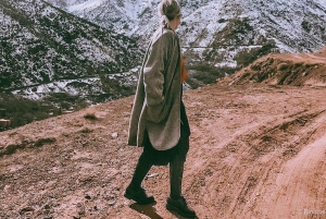 Dagtour en overnachting in de woestijn met dinershow en kamelenrit