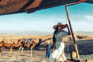 Marrakech: Kamelridning ved solnedgang med middagsshow i Agafay-ørkenen