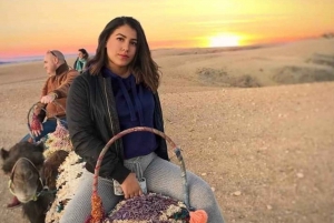 Marrakech: Kamelridning ved solnedgang med middagsshow i Agafay-ørkenen