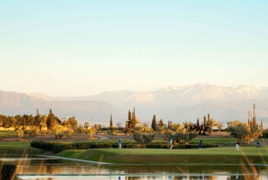 Ужин в небе над Марракешем