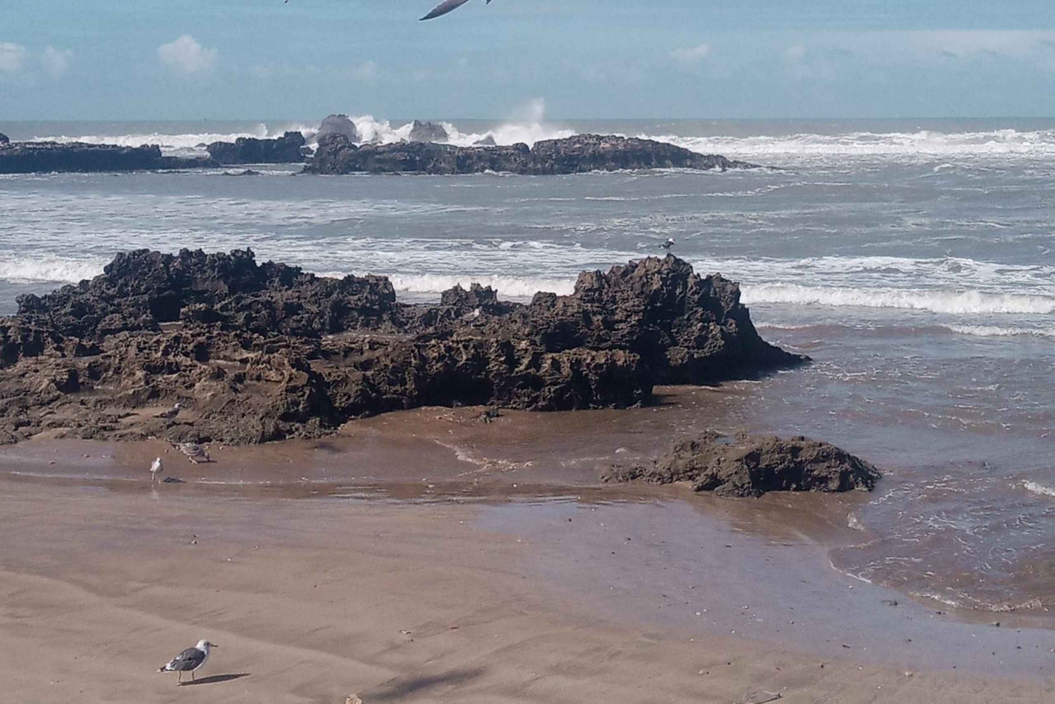 From Marrakech: Day Trip to Essaouira with Transfers