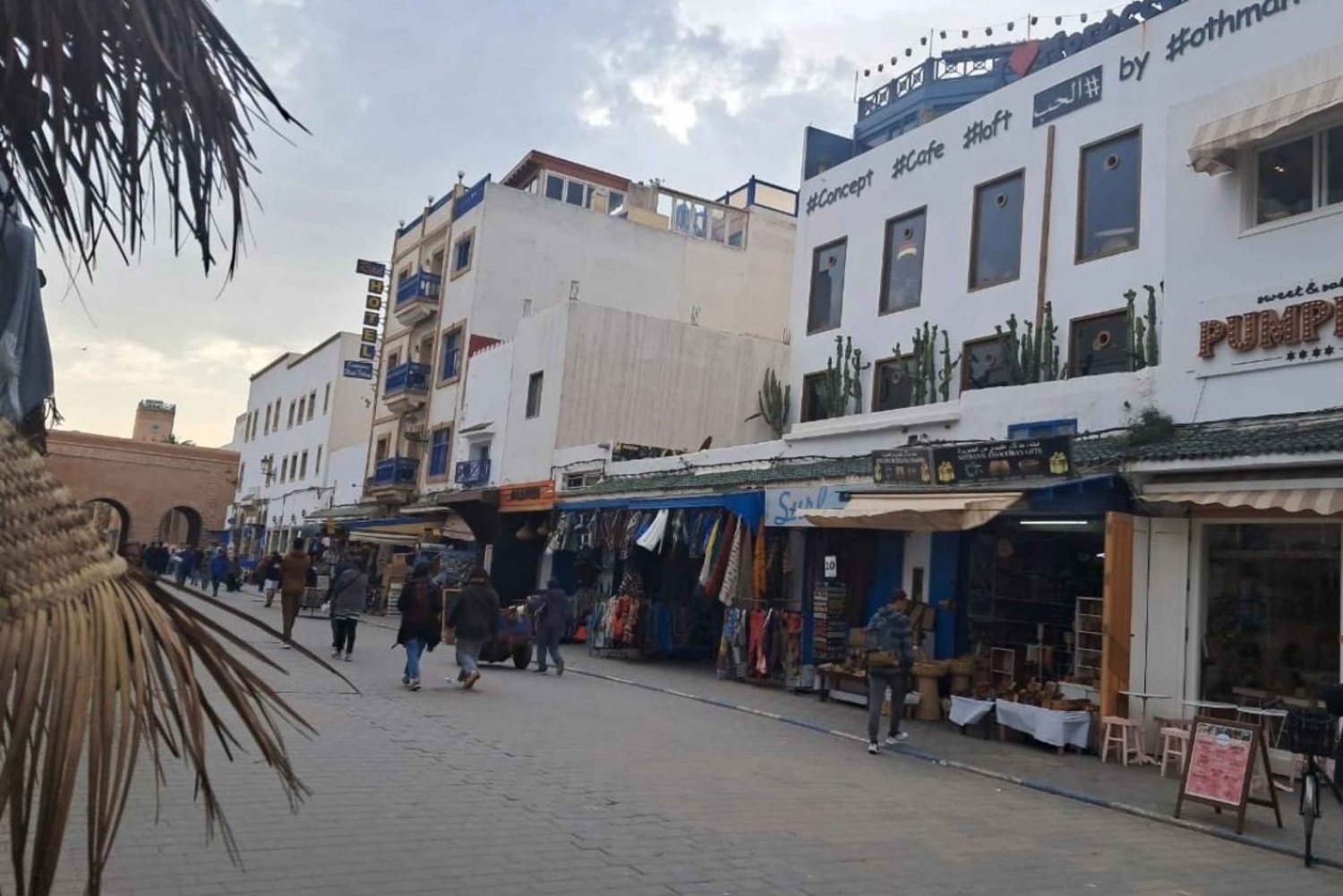 Da Marrakech: Escursione a Essaouira con cammello, cavallo e quad