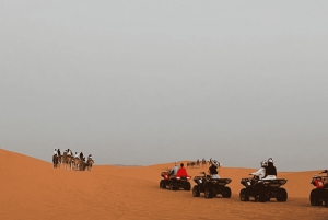 Von Agadir: 3-Tages-Tour nach Marrakesch über die Merzouga-Wüste