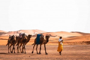 Depuis Agadir : visite privée de 4 jours à Marrakech via le désert de Merzouga