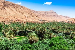 Depuis Agadir : visite privée de 4 jours à Marrakech via le désert de Merzouga