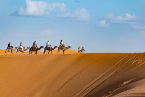 Depuis Agadir : visite privée de 4 jours à Marrakech via le désert de Merzouga