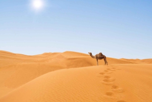 Depuis Agadir : visite privée de 4 jours à Marrakech via le désert de Merzouga