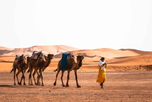 Depuis Agadir : visite privée de 4 jours à Marrakech via le désert de Merzouga