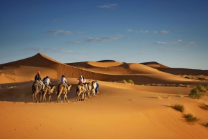Depuis Agadir : visite privée de 4 jours à Marrakech via le désert de Merzouga