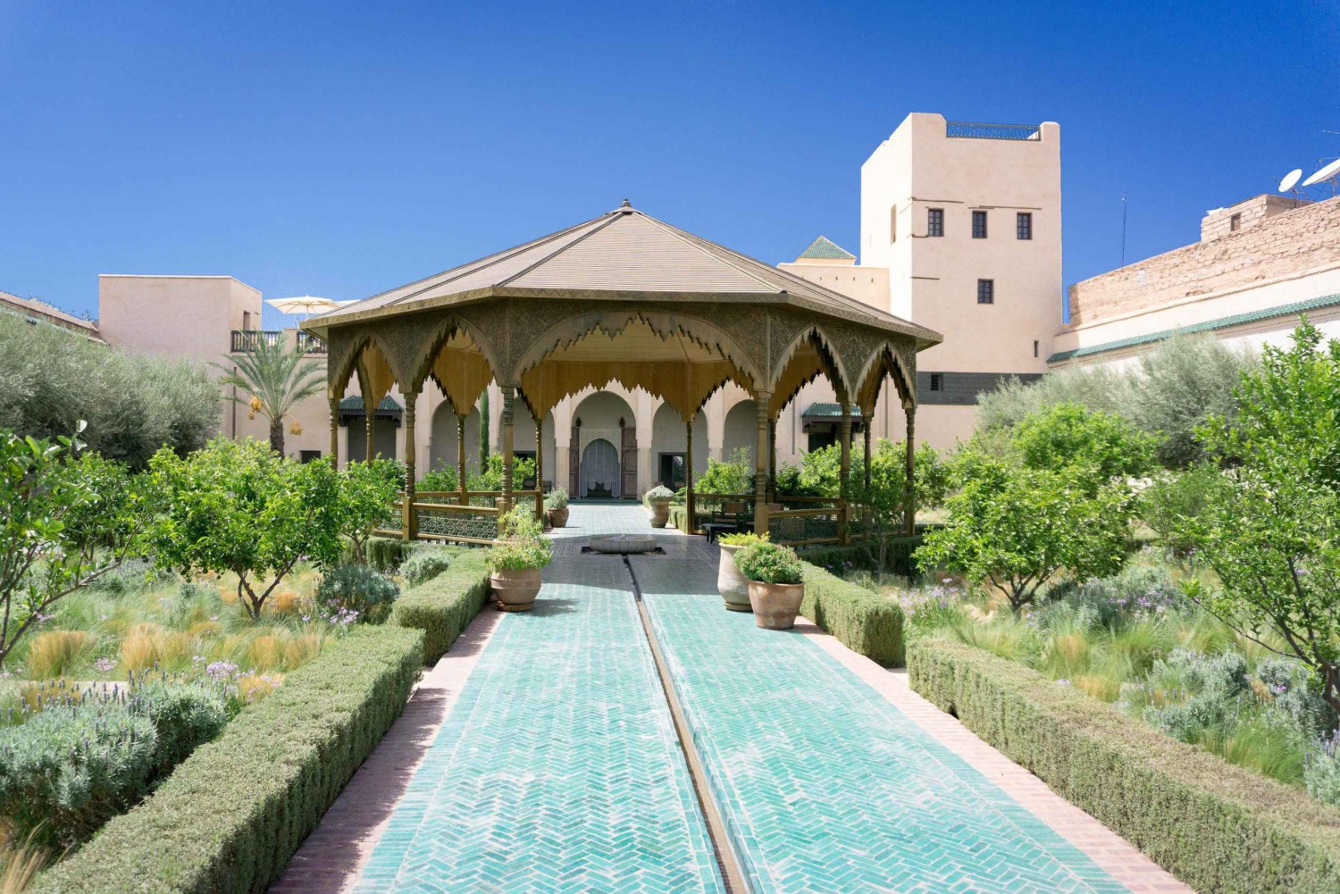 Fra Casablanca: Guidet dagsudflugt til Marrakech med kameltur