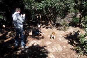 From Fes: 2-Day Desert Tour with Return to Fes or Marrakech