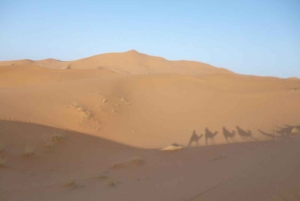 From Fes: 2-Day Desert Tour with Return to Fes or Marrakech