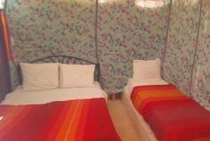 From Fes: 2-Day Desert Tour with Return to Fes or Marrakech