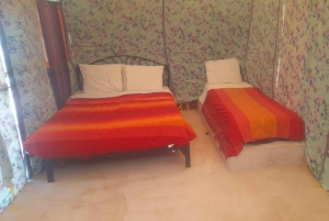 From Fes: 2-Day Desert Tour with Return to Fes or Marrakech