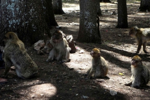 From Fes: 3 Days and 2 Nights Desert Trip to Marrakech