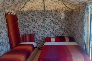 From Fes: 3 Days and 2 Nights Desert Trip to Marrakech