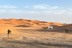 Från Fez: 3-dagars lyxresa till Marrakech via Merzouga