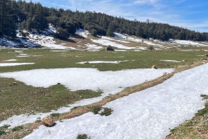 Från Fez: 3-dagars lyxresa till Marrakech via Merzouga