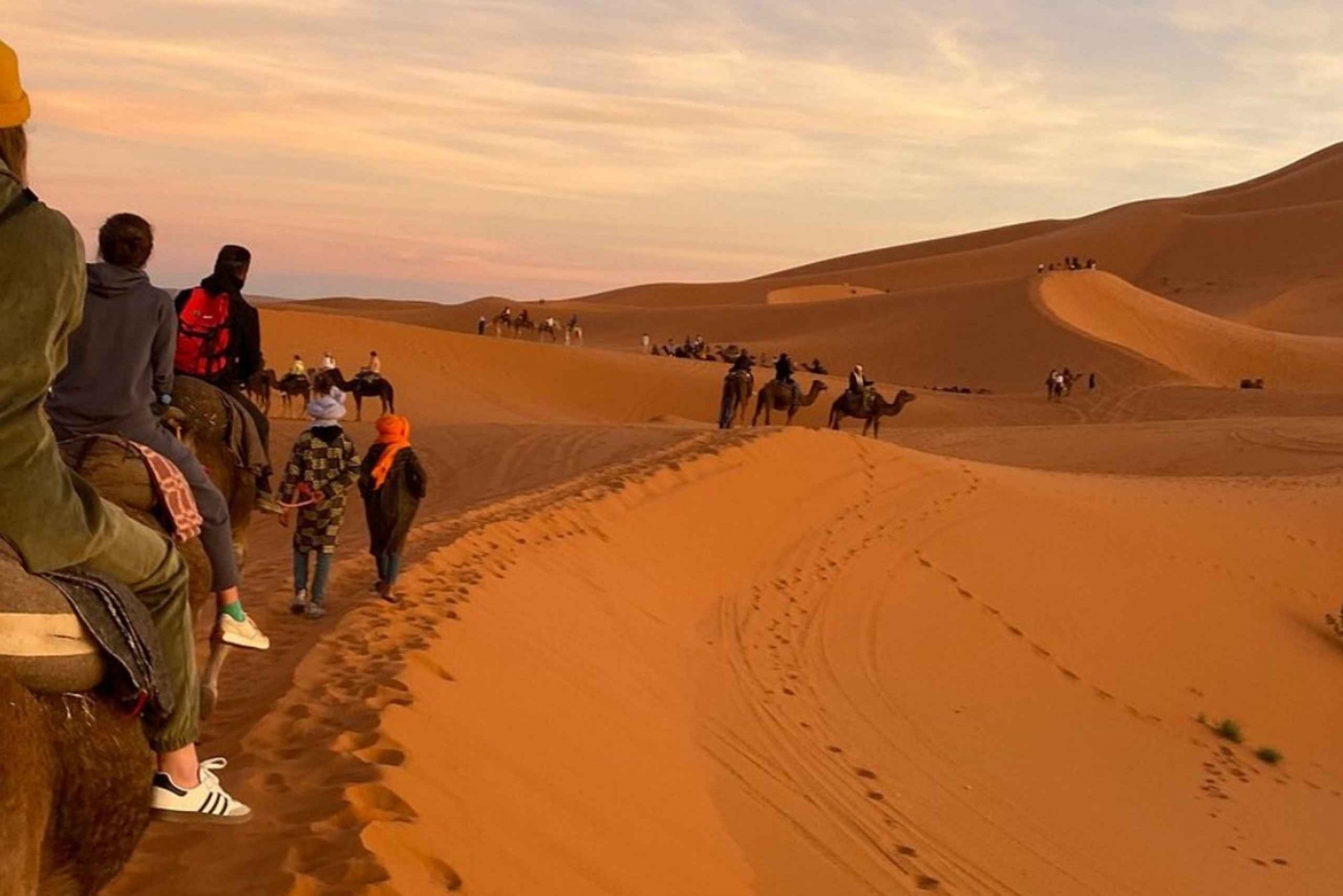 Desde Marrakech: excursión de 2 días al desierto con regreso a Fez o Marrakech.