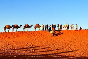Från Marrakech: 3-dagars ökensafari till Merzouga