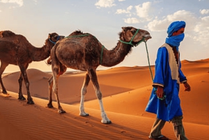 Из Марракеша: 3-дневный тур по пустыне, катание на верблюдах и квадроциклах в Фесе