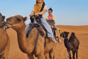 Из Марракеша: 3-дневный тур по пустыне, катание на верблюдах и квадроциклах в Фесе