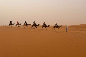 Fra Marrakech: 3-dagers Sahara-ørkentur til Agadir