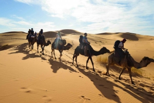 From Marrakech: 3-Day Desert Tour to Fes