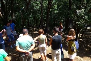 From Marrakech: 3-Day Desert Tour to Fes