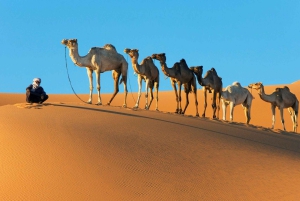 マラケシュ発：ラクダ乗り、サンドボード、メルズーガ3日間、砂漠ツアーをお楽しみください