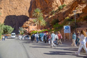 Marrakesz: 3-dniowa wycieczka na pustynię, Merzouga, wielbłąd, quad, kolacja