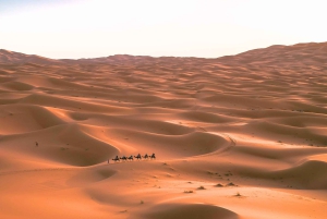 Marrakesz: 3-dniowa wycieczka na pustynię, Merzouga, wielbłąd, quad, kolacja
