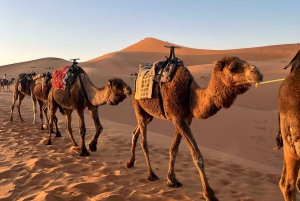 Marrakesz: 3-dniowa wycieczka na pustynię, Merzouga, wielbłąd, quad, kolacja