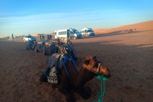 Från Marrakech: 3-dagars ökensafari till Merzouga