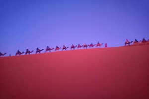 Från Marrakech: 3-dagars ökensafari till Merzouga