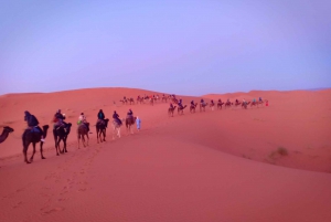 Från Marrakech: 3-dagars ökensafari till Merzouga