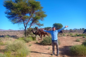 Från Marrakech: 3-dagars ökensafari till Merzouga