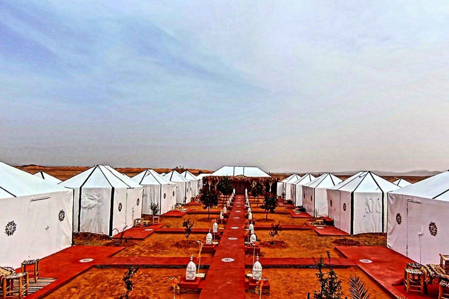 Från Marrakech: 4-dagars kamelridning och ökenläger