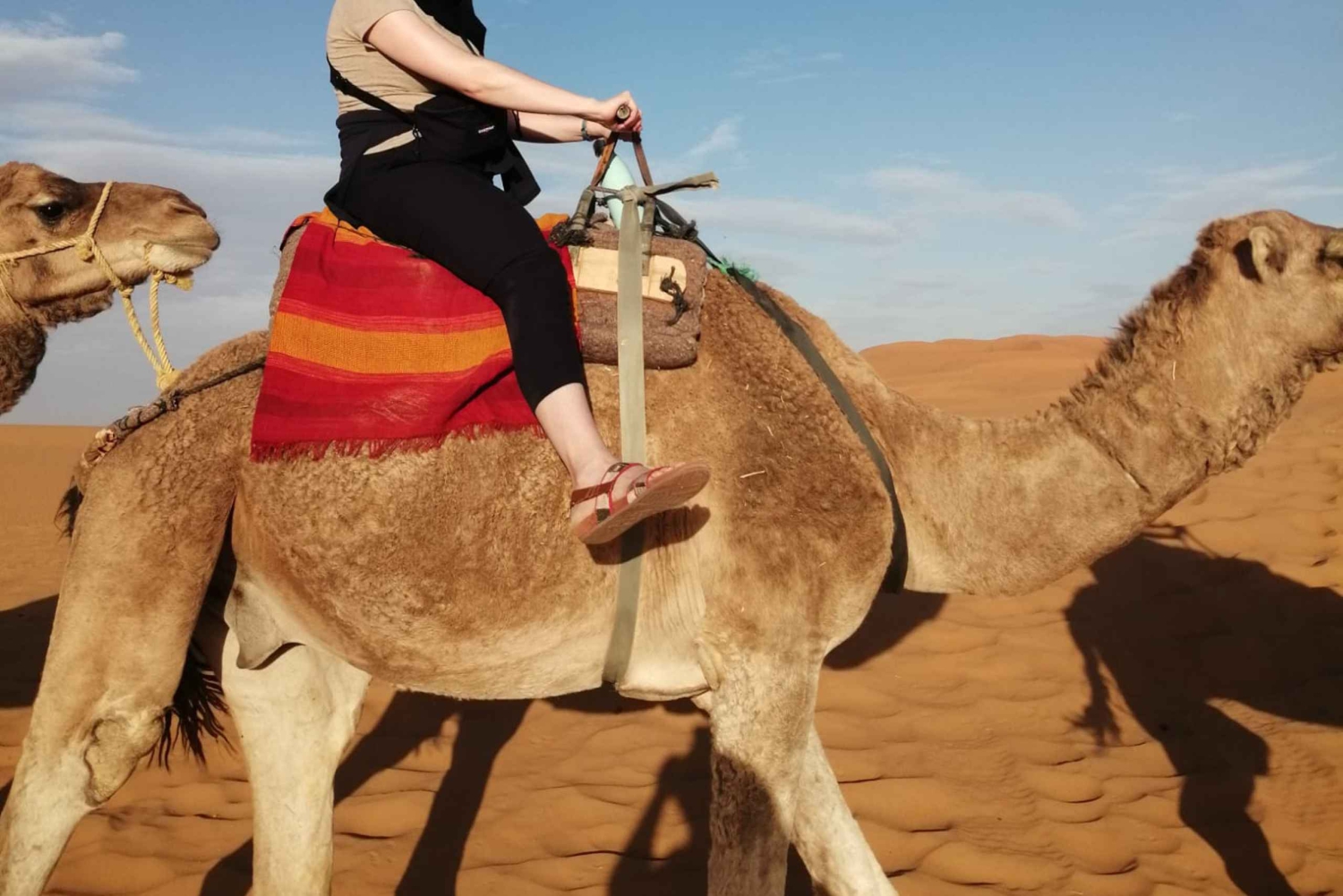 Fra Marrakech: Solnedgang i Agafay-ørkenen, ridetur på kamel og middag