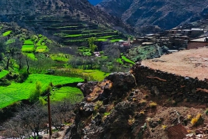 Vanuit Marrakesh: dagtour Atlasgebergte en Berberse dorp