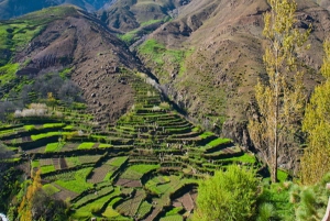 Vanuit Marrakesh: dagtour Atlasgebergte en Berberse dorp