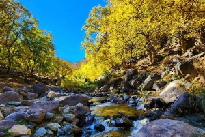 From Marrakech: Atlas Mountains Day Trip with Camel Ride